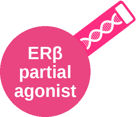 Estrogen receptor beta (ERβ) partial agonist — mechanism peg (Ballicules)