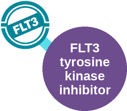 FLT3 tyrosine kinase inhibitor — mechanism peg (Ballicules)