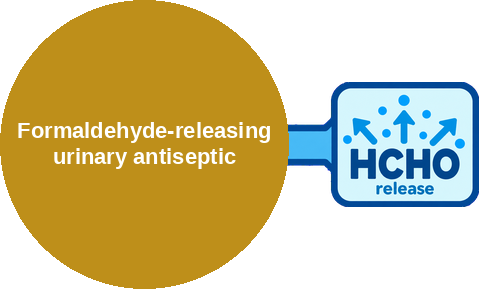 Formaldehyde-releasing urinary antiseptic — mechanism peg (Ballicules)