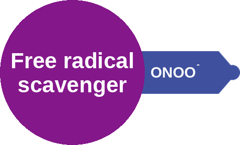 Free radical scavenger — mechanism peg (Ballicules)