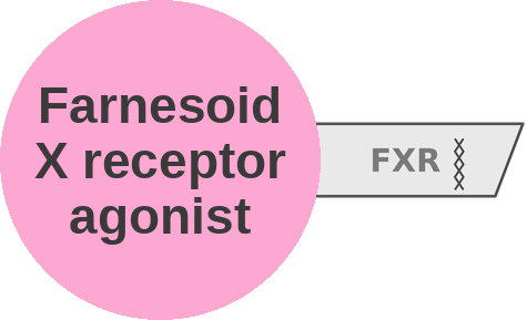 Farnesoid X receptor agonist — mechanism peg (Ballicules)