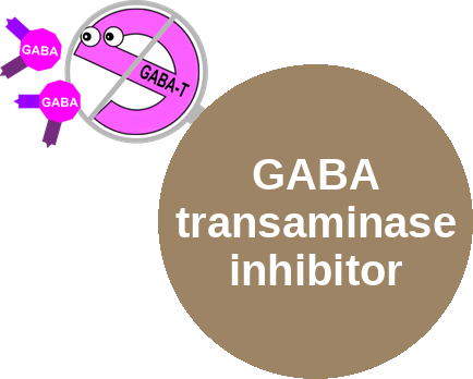 GABA transaminase inhibitor — mechanism peg (Ballicules)