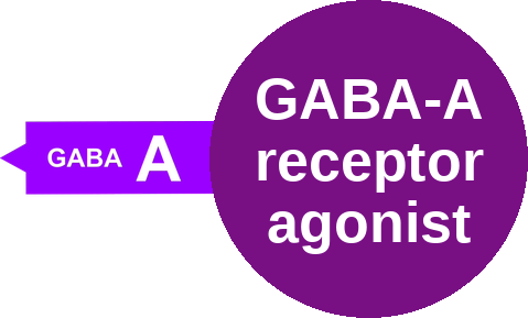 GABA-A receptor agonist — mechanism peg (Ballicules)