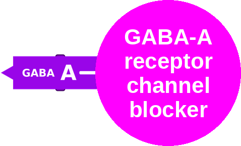GABA-A receptor channel blocker — mechanism peg (Ballicules)