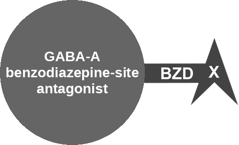 GABA-A benzodiazepine-site antagonist — mechanism peg (Ballicules)