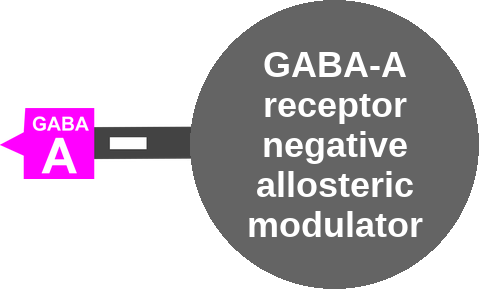 GABA-A receptor negative allosteric modulator — mechanism peg (Ballicules)