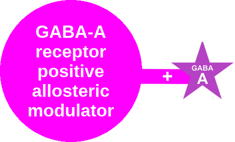 GABA-A receptor positive allosteric modulator — mechanism peg (Ballicules)