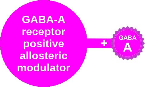 GABA-A PAM · ethanol — mechanism peg