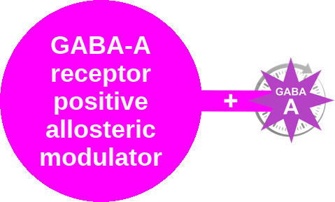 GABA-A PAM · barbiturate site — mechanism peg