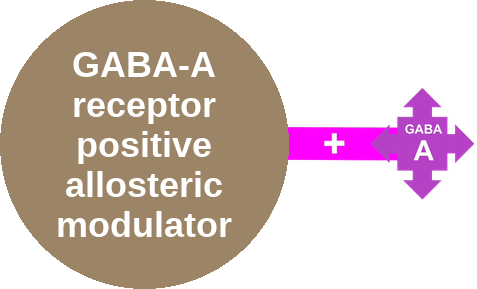 GABA-A PAM · cenobamate / felbamate — mechanism peg