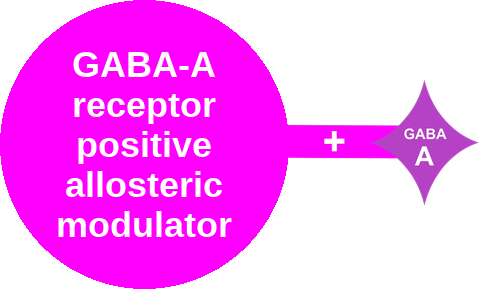 GABA-A PAM · etomidate — mechanism peg