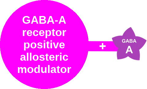 GABA-A PAM · neurosteroid site — mechanism peg