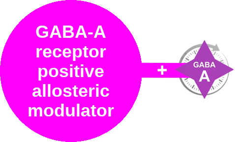 GABA-A PAM · propofol — mechanism peg