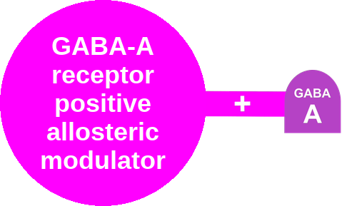GABA-A PAM · stiripentol — mechanism peg