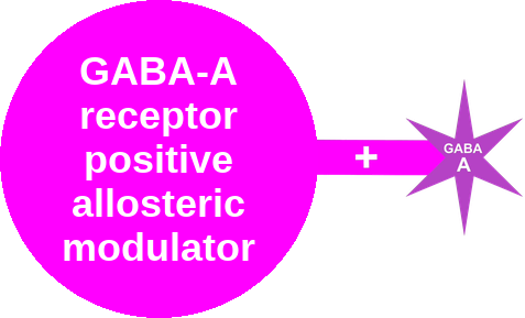 GABA-A PAM · volatile anesthetic — mechanism peg