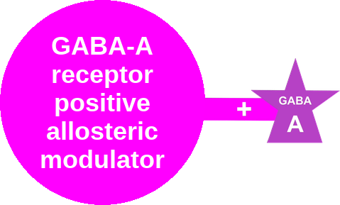 GABA-A PAM · Z-drug (α1-preferring) — mechanism peg