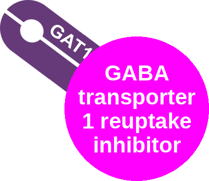 GABA transporter 1 reuptake inhibitor — mechanism peg (Ballicules)
