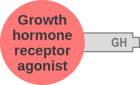 Growth hormone receptor agonist — mechanism peg (Ballicules)