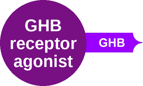 GHB receptor agonist — mechanism peg (Ballicules)