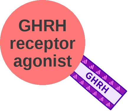 GHRH receptor agonist — mechanism peg (Ballicules)