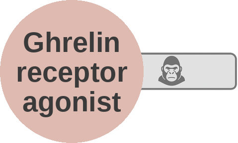 Ghrelin receptor agonist — mechanism peg (Ballicules)