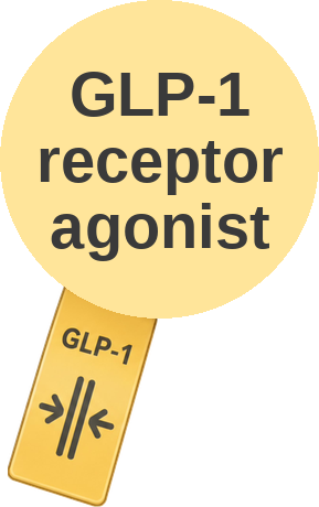 GLP-1 receptor agonist — mechanism peg (Ballicules)