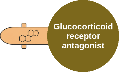 Glucocorticoid receptor antagonist — mechanism peg (Ballicules)