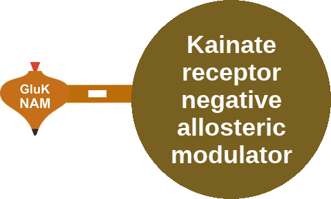 Kainate receptor negative allosteric modulator — mechanism peg (Ballicules)