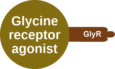 Glycine receptor agonist — mechanism peg (Ballicules)