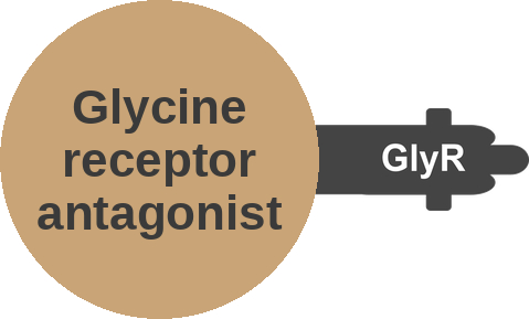 Glycine receptor antagonist — mechanism peg (Ballicules)