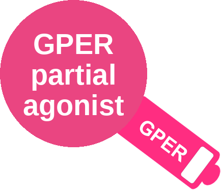 G protein-coupled estrogen receptor (GPER) partial agonist — mechanism peg (Ballicules)