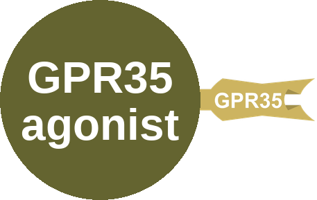 GPR35 agonist — mechanism peg (Ballicules)