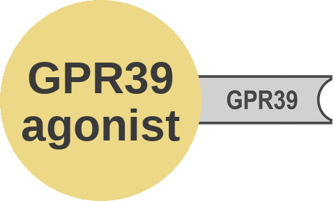 GPR39 agonist — mechanism peg (Ballicules)