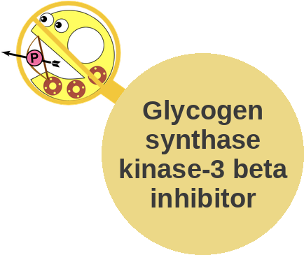 Glycogen synthase kinase-3 beta inhibitor — mechanism peg (Ballicules)