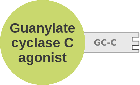 Guanylate cyclase C agonist — mechanism peg (Ballicules)