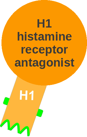 H1 histamine receptor antagonist — mechanism peg (Ballicules)