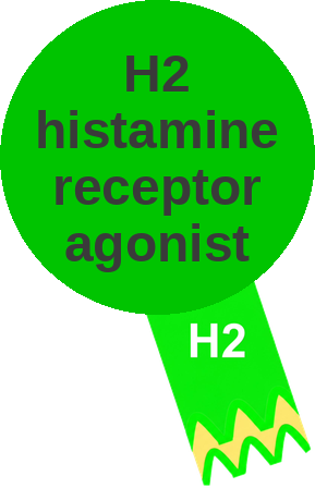 H2 histamine receptor agonist — mechanism peg (Ballicules)