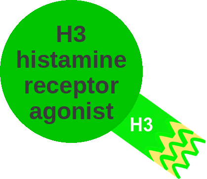 H3 histamine receptor agonist — mechanism peg (Ballicules)
