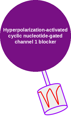 Hyperpolarization-activated cyclic nucleotide-gated channel 1 blocker — mechanism peg (Ballicules)