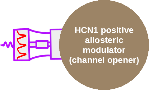 HCN1 positive allosteric modulator (channel opener) — mechanism peg (Ballicules)