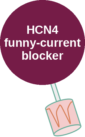 HCN4 funny-current blocker — mechanism peg (Ballicules)