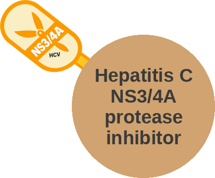 Hepatitis C NS3/4A protease inhibitor — mechanism peg (Ballicules)