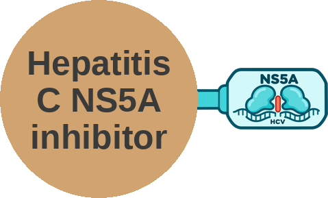 Hepatitis C NS5A inhibitor — mechanism peg (Ballicules)