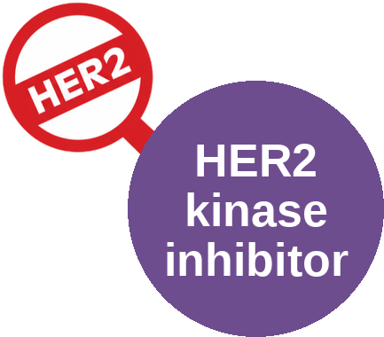 HER2 kinase inhibitor — mechanism peg (Ballicules)