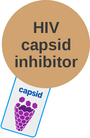 HIV capsid inhibitor — mechanism peg (Ballicules)