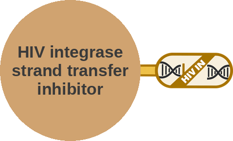 HIV integrase strand transfer inhibitor — mechanism peg (Ballicules)