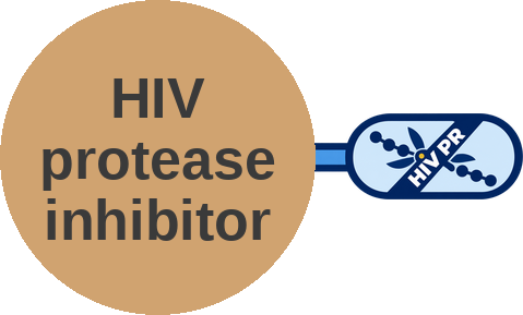HIV protease inhibitor — mechanism peg (Ballicules)