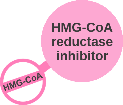 HMG-CoA reductase inhibitor — mechanism peg (Ballicules)