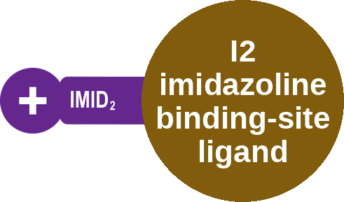 I2 imidazoline binding-site ligand — mechanism peg (Ballicules)