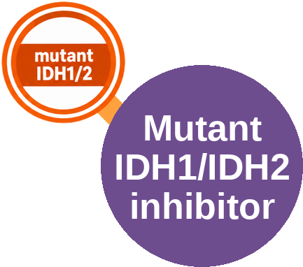 Mutant IDH1/IDH2 inhibitor — mechanism peg (Ballicules)
